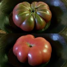 Afbeeldingsresultaat voor purple calabash tomato