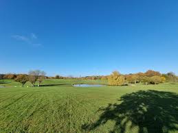 Image result for Gosfield CC