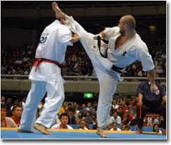 Image result for Kyokushin Karate