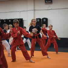 Image result for Kidderminster Tae Kwon Do Tigers