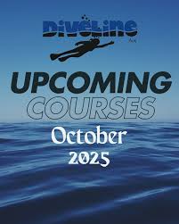 Image result for Diveline