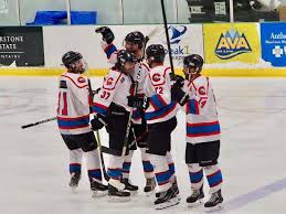 Image result for Vipers Roller Hockey Team