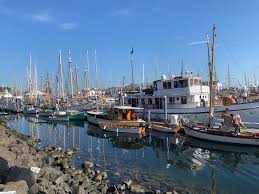 Image result for Portway Plodders