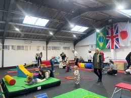 Image result for Gym Tots Gym Club