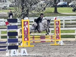 Image result for Annandale Equestrian Centre
