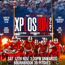 Image result for Birmingham University Lions