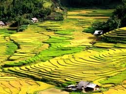 sapa trekking tours