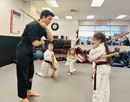 Image result for Professional  Martial Arts Academy