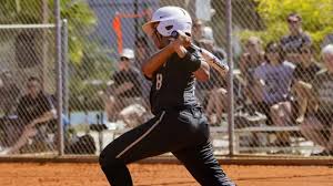 Image result for Ashton Brook Badminton Club.