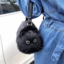 Image result for Black Cat Sac