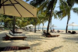 Image result for goa beaches