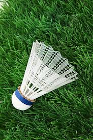 Image result for Greenmeadow Badminton Club