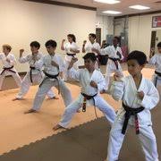 Image result for KA Martial Arts John's Creek