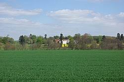 Image result for Gosfield CC