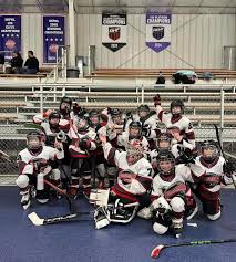 Image result for Arbroath Hurricanes Skater Hockey Club