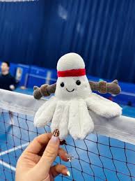 Image result for Sheffield Brunswick Badminton Badminton Club