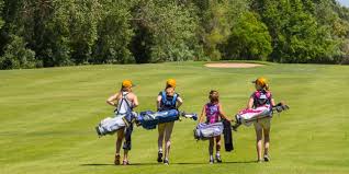 Image result for Pachesham Park Golf Centre