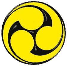 Image result for Goshin Ryu Atemi JuJitsu