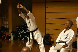 Image result for Ryuko Dojo