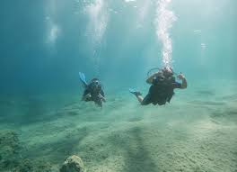 Image result for Manta Divers Sub-Aqua Club