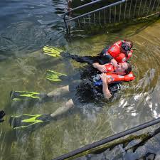 Image result for Kingston and Elmbridge Snorkellers