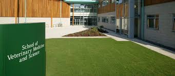 Image result for Nottingham Schools Ra