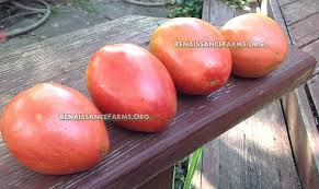 Afbeeldingsresultaat voor CDB tomato