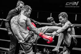 Image result for JTT Muay Thai