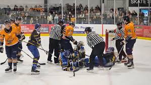 Image result for Romford Junior Ice Hockey Club