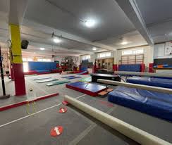 Image result for Torbay Olympic Gymnastics Club