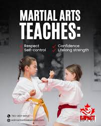 Image result for Impact Martial Arts