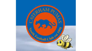 Image result for Caterham Pumas Fc