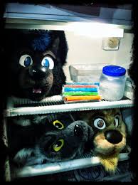 Image result for 241543903