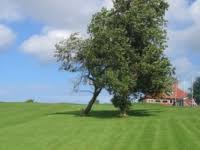 Image result for Old Colwyn Golf Club