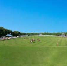 Image result for Newport (Salop) Cricket Club