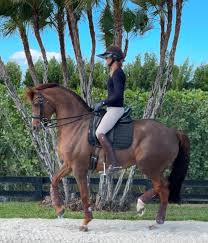 Image result for Interfreestyle Sport Karate