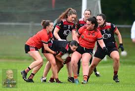 Image result for Rostrevor Hurling Club