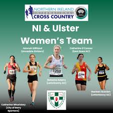 Image result for Annadale Striders Ac