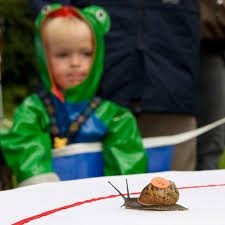 Image result for World Snail Racing Championships