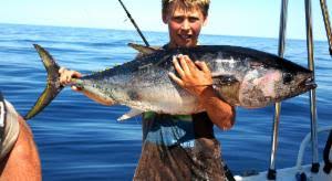 Image result for Thunnus maccoyii