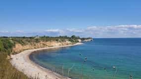 Image result for stevns klint
