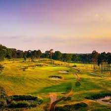 Image result for Guildford Gold Club