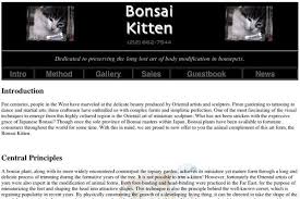 Kuvahaun tulos haulle bonsaikitten