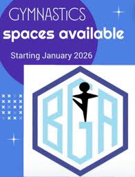 Image result for Brumby Gymnastics Club