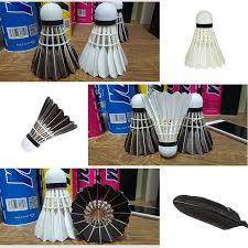 Image result for Shuttles Badminton Club (Frome)