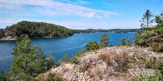 Attēlu rezultāti vaicājumam “Nothorhina punctata”