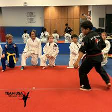 Image result for Martial Arts Karate Mesa AZ
