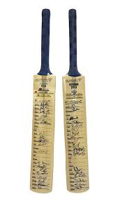 Image result for Bat Sports Cricket Club