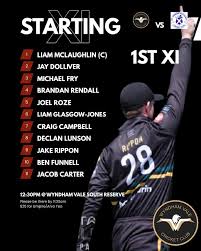 Image result for Wandham Cricket Club