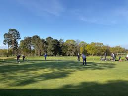 Image result for Brokenhurst Manor Golf Club